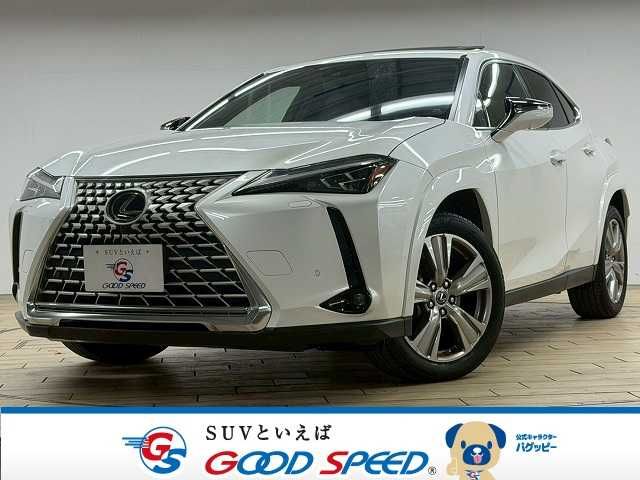 TOYOTA / LEXUS UX250h