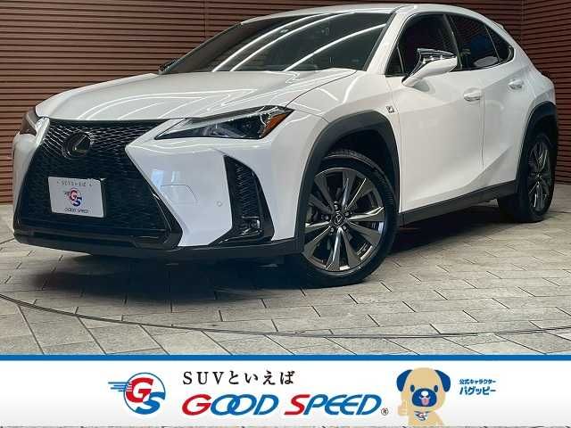 TOYOTA / LEXUS UX250h