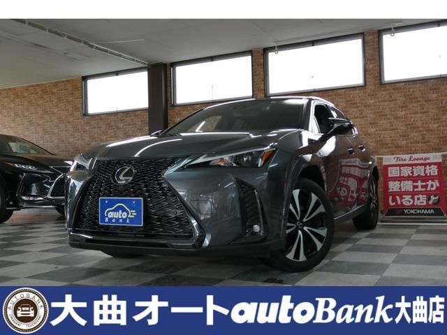 TOYOTA / LEXUS UX250h AWD