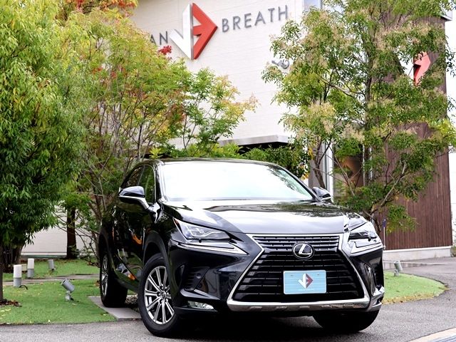 TOYOTA / LEXUS NX300