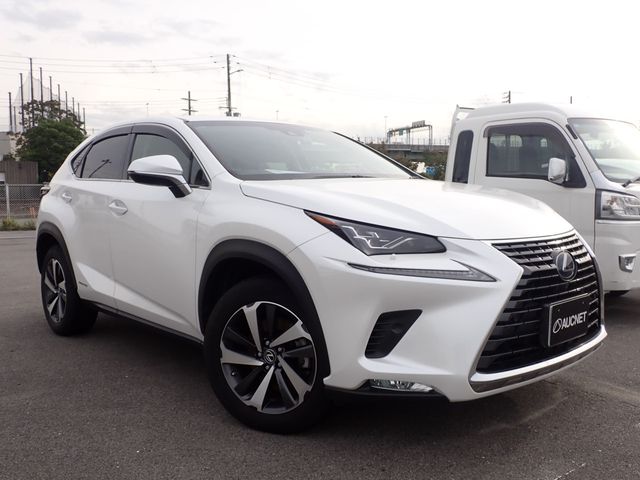 TOYOTA / LEXUS NX300h