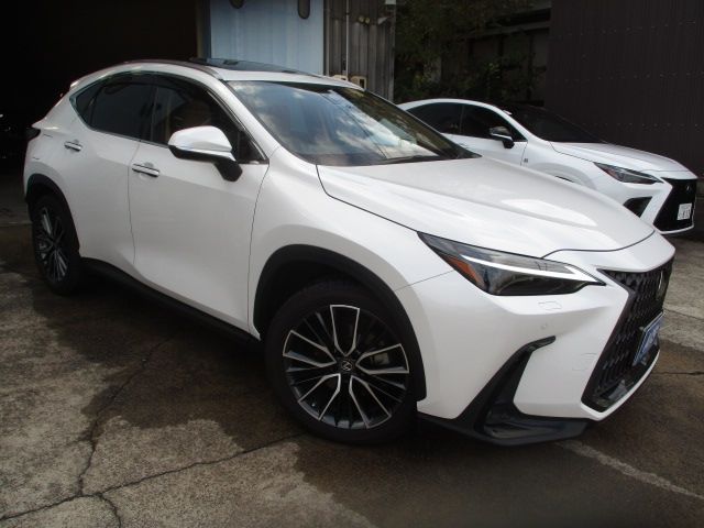 TOYOTA / LEXUS NX450h+ AWD