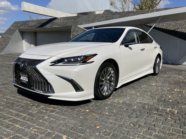TOYOTA / LEXUS ES300h