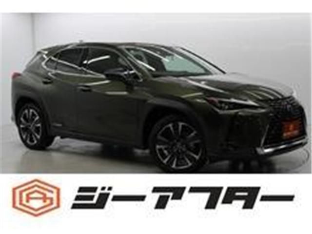 TOYOTA / LEXUS UX250h