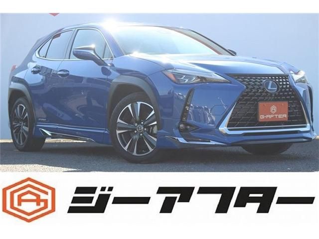 TOYOTA / LEXUS UX250h