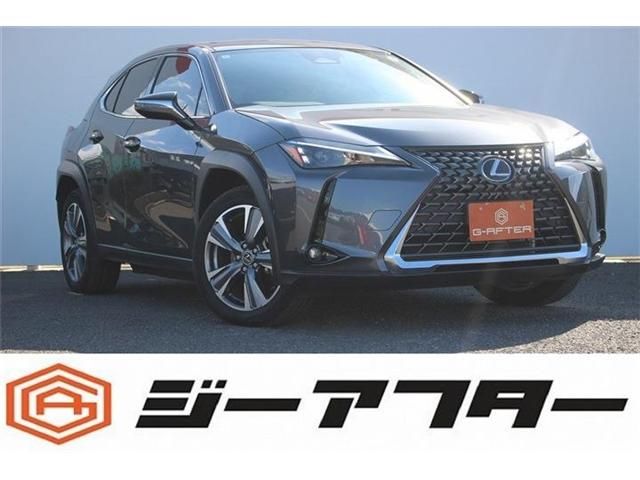 TOYOTA / LEXUS UX300e