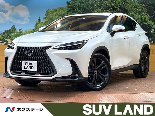 TOYOTA / LEXUS NX250