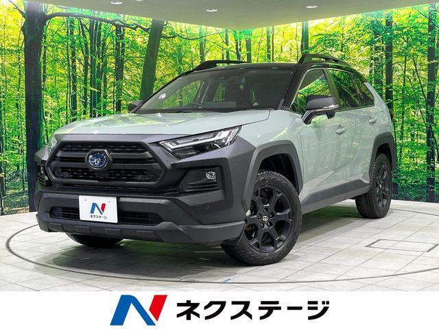 TOYOTA / RAV4 HYBRID 4WD