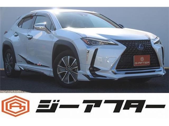 TOYOTA / LEXUS UX300e