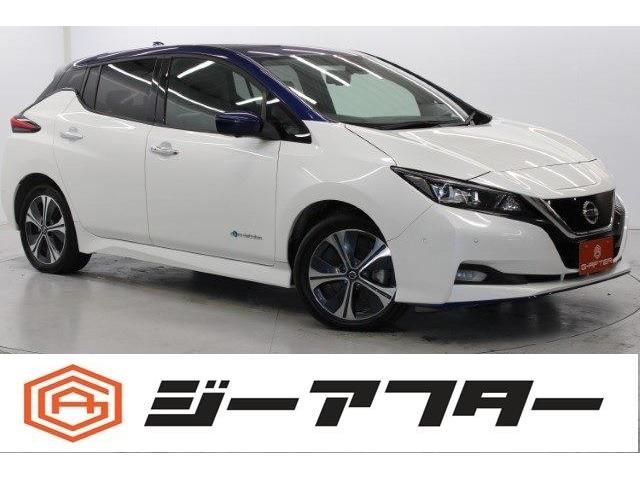 NISSAN / LEAF