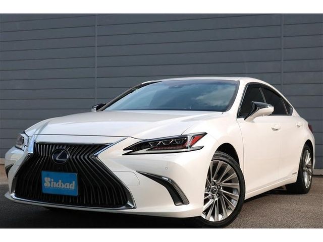 TOYOTA / LEXUS ES300h