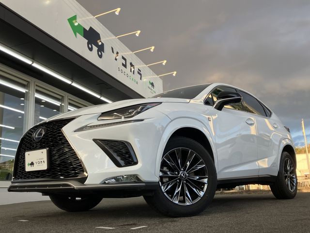 TOYOTA / LEXUS NX300h