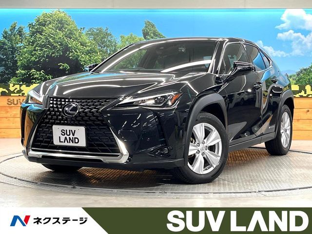 TOYOTA / LEXUS UX250h