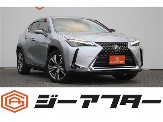 TOYOTA / LEXUS UX300e