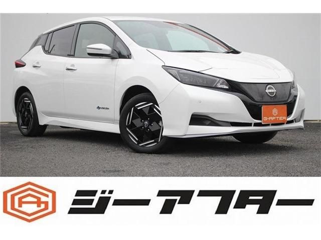 NISSAN / LEAF
