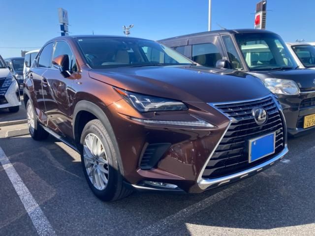 TOYOTA / LEXUS NX300h