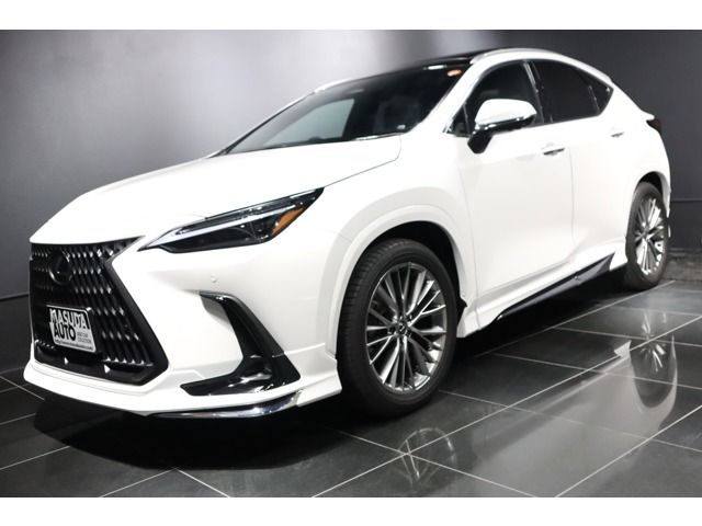 TOYOTA / LEXUS NX250