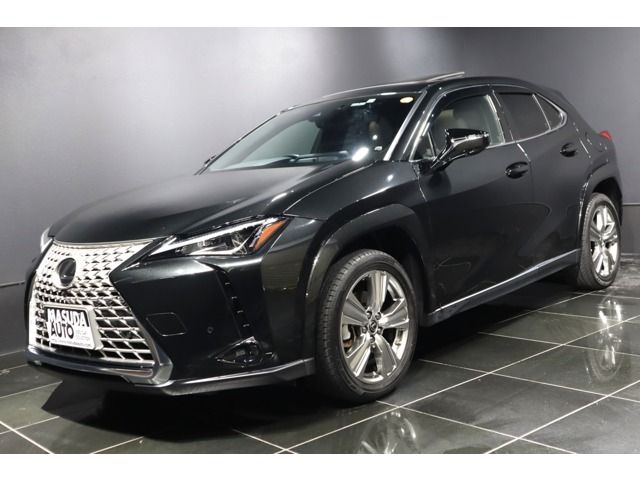 TOYOTA / LEXUS UX250h