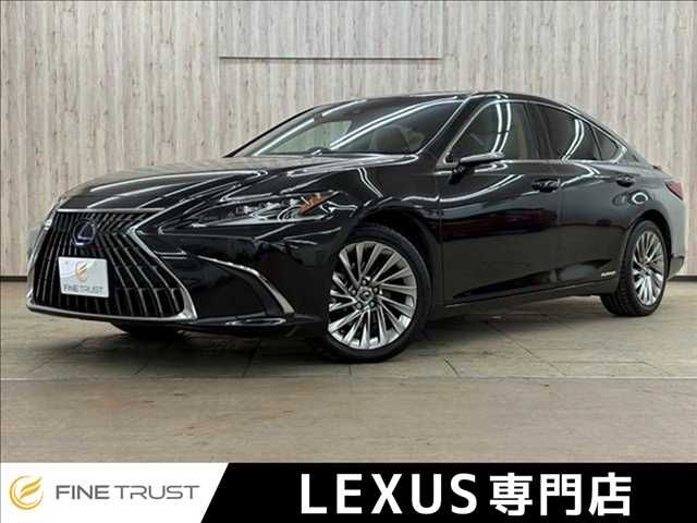 TOYOTA / LEXUS ES300h