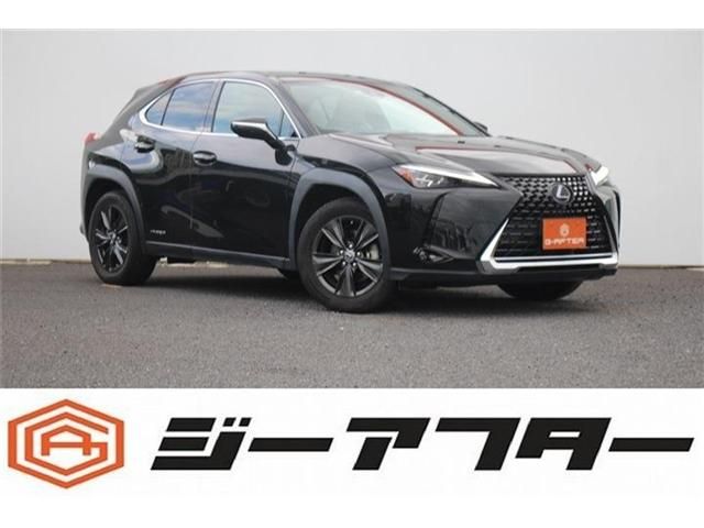 TOYOTA / LEXUS UX250h