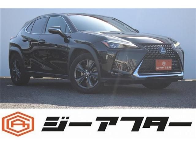 TOYOTA / LEXUS UX250h