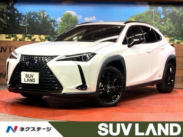 TOYOTA / LEXUS UX250h