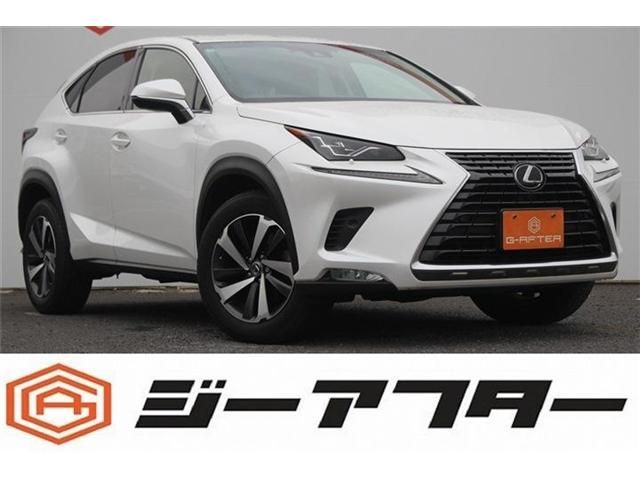 TOYOTA / LEXUS NX300