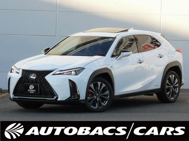 TOYOTA / LEXUS UX250h
