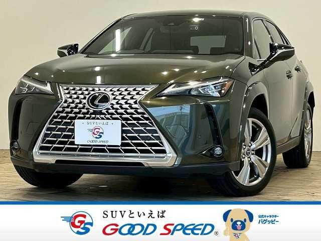 TOYOTA / LEXUS UX250h
