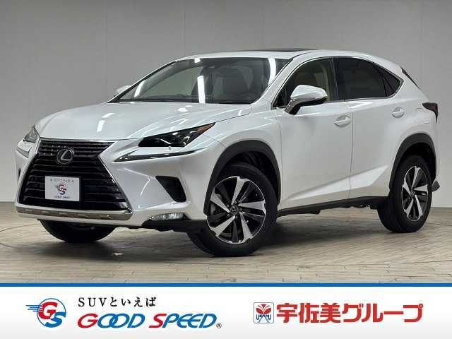 TOYOTA / LEXUS NX300