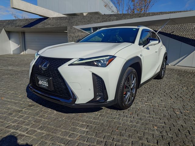 TOYOTA / LEXUS UX250h