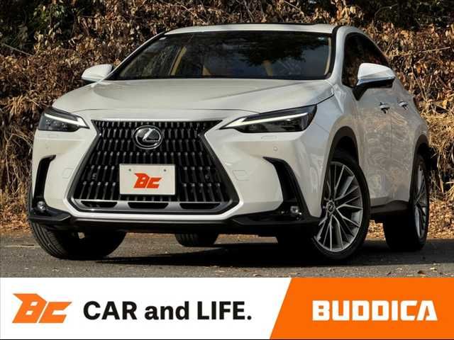 TOYOTA / LEXUS NX250