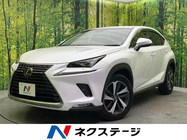 TOYOTA / LEXUS NX300