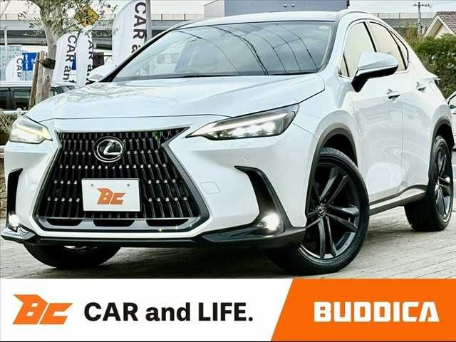 TOYOTA / LEXUS NX250 AWD