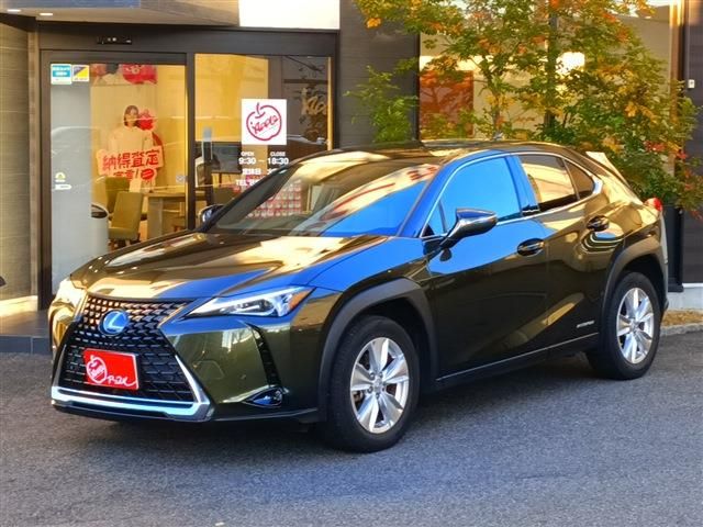 TOYOTA / LEXUS UX250h