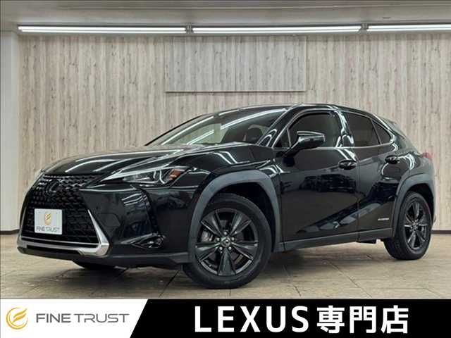 TOYOTA / LEXUS UX250h