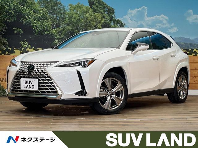 TOYOTA / LEXUS UX250h AWD