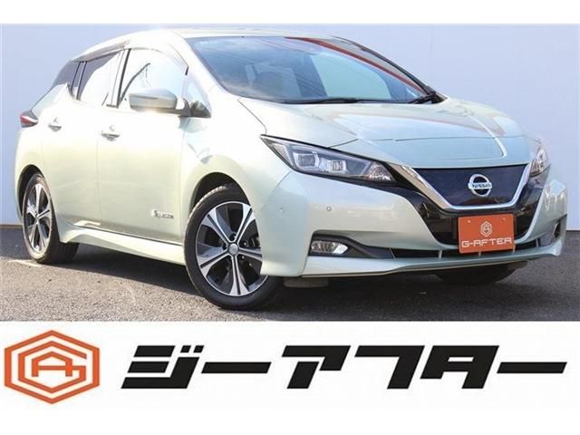 NISSAN / LEAF