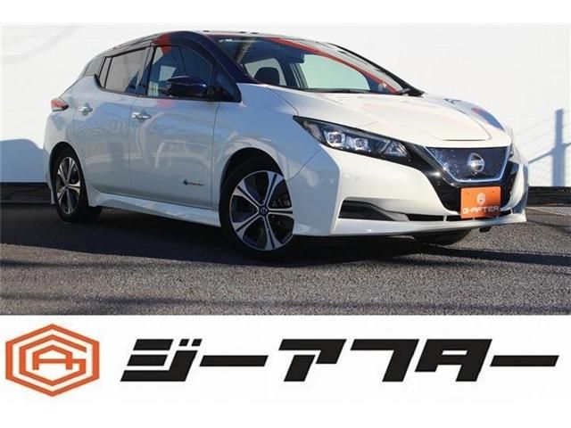 NISSAN / LEAF