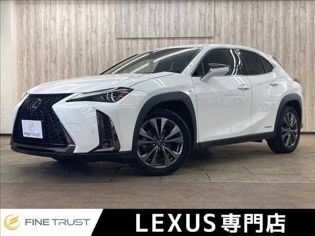 TOYOTA / LEXUS UX250h
