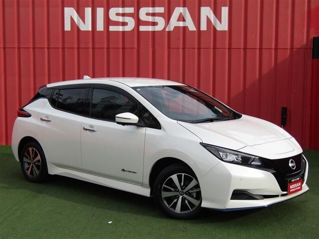 NISSAN / LEAF