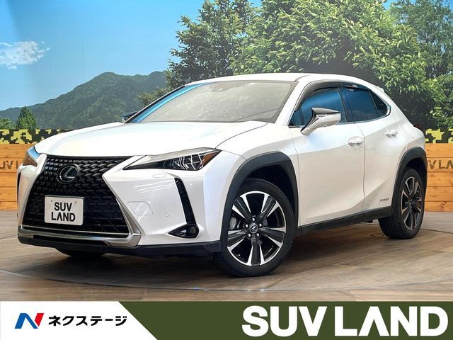 TOYOTA / LEXUS UX250h