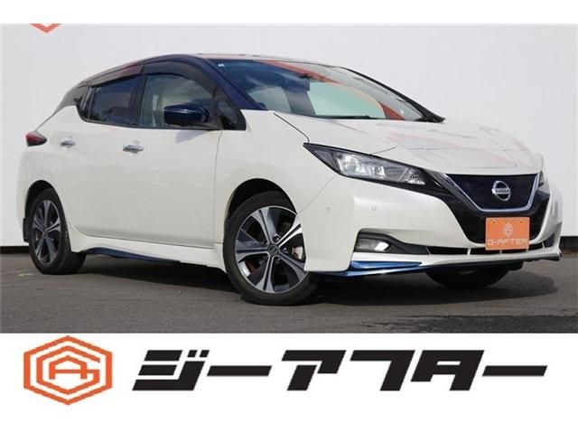 NISSAN / LEAF