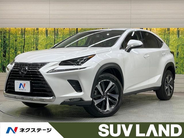 TOYOTA / LEXUS NX300