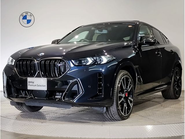 BMW / BMW X6