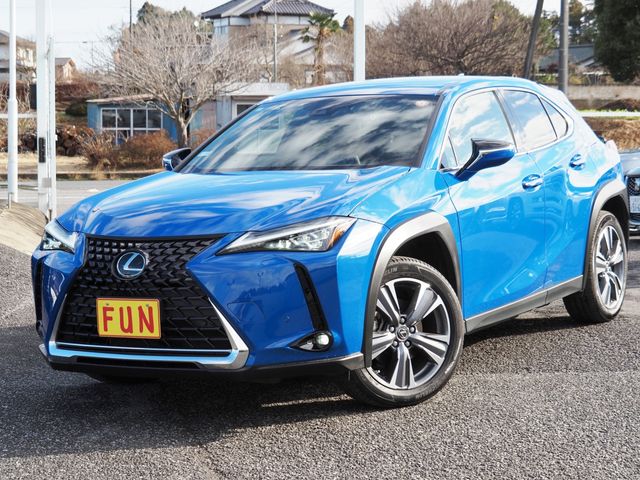 TOYOTA / LEXUS UX300e