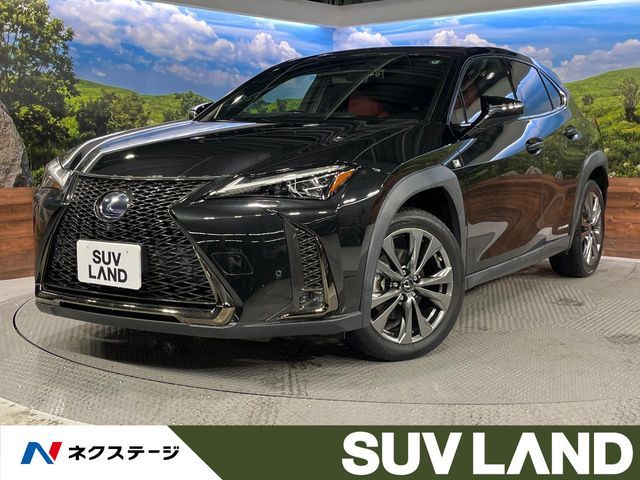 TOYOTA / LEXUS UX250h