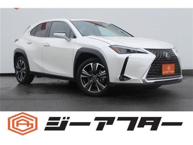 TOYOTA / LEXUS UX250h