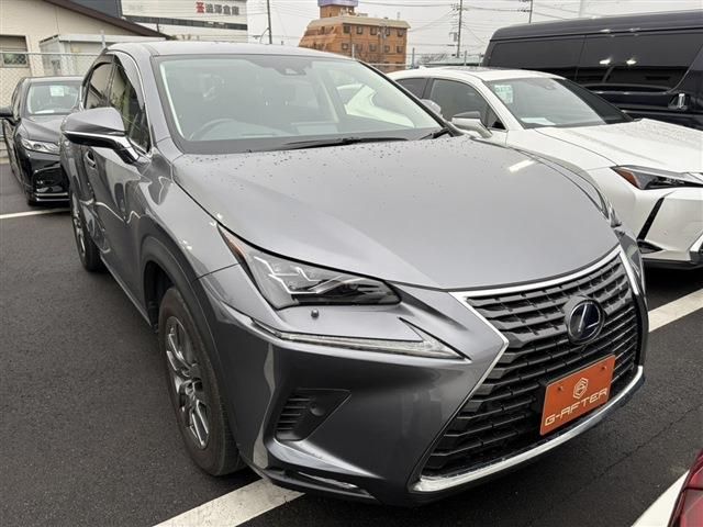 TOYOTA / LEXUS NX300h