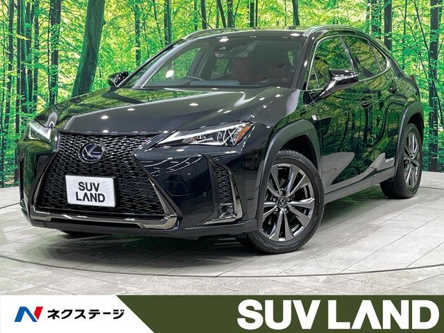 TOYOTA / LEXUS UX250h